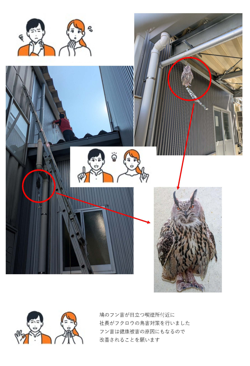 気温30℃越えの中、社長が鳩対策!!