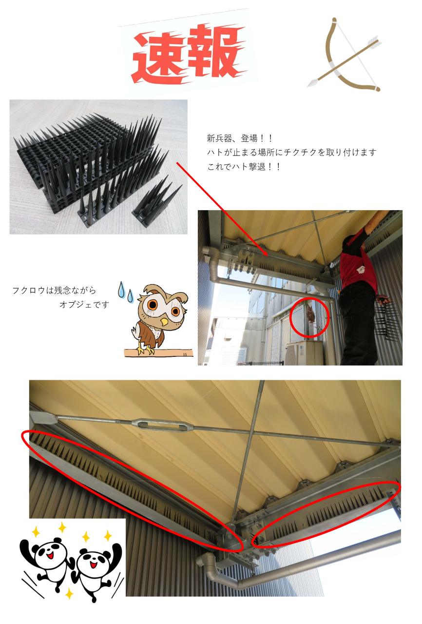 今日も30℃越えの中、社長がハト対策