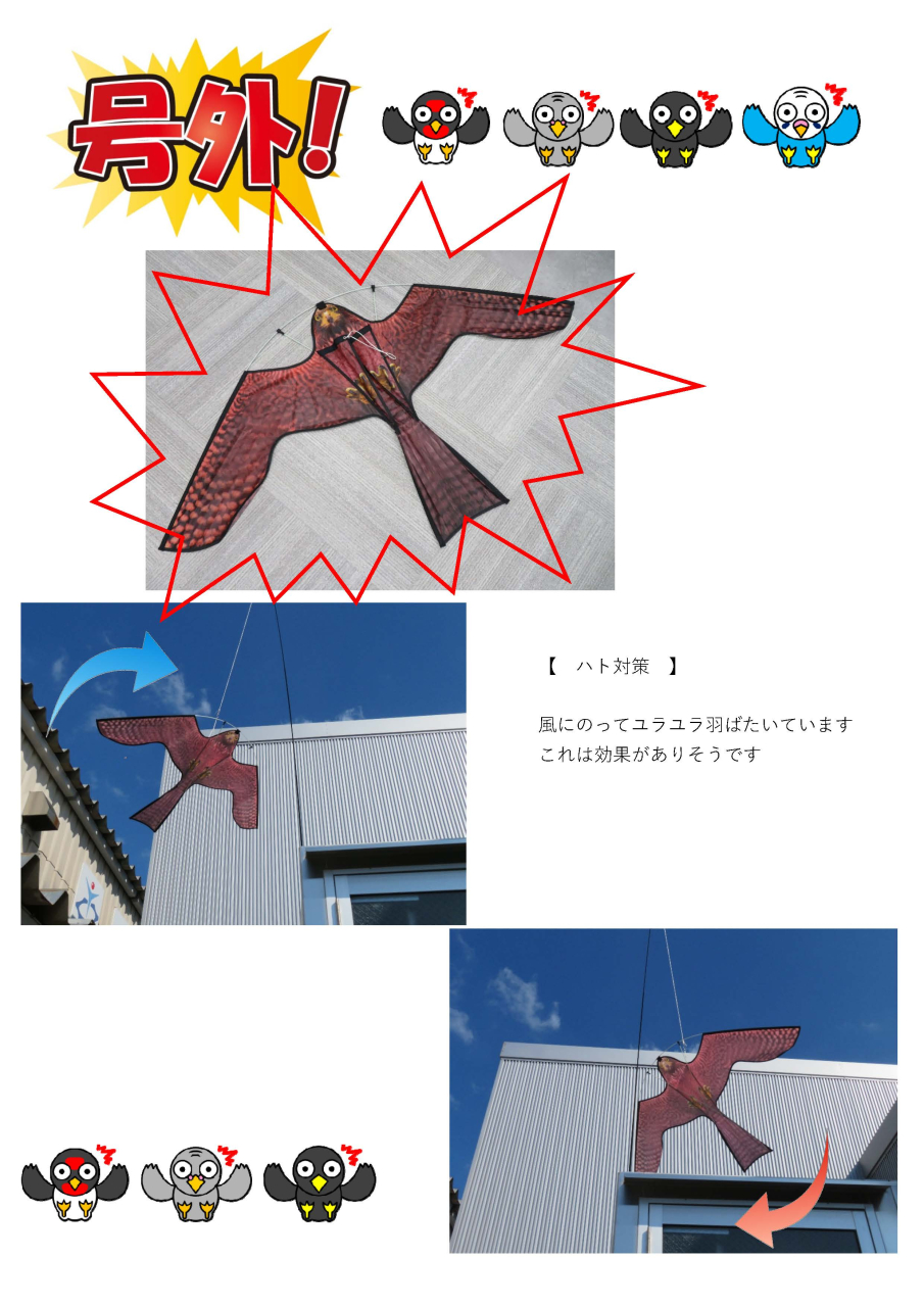 大空羽ばたく鷹がハト対策に参戦です