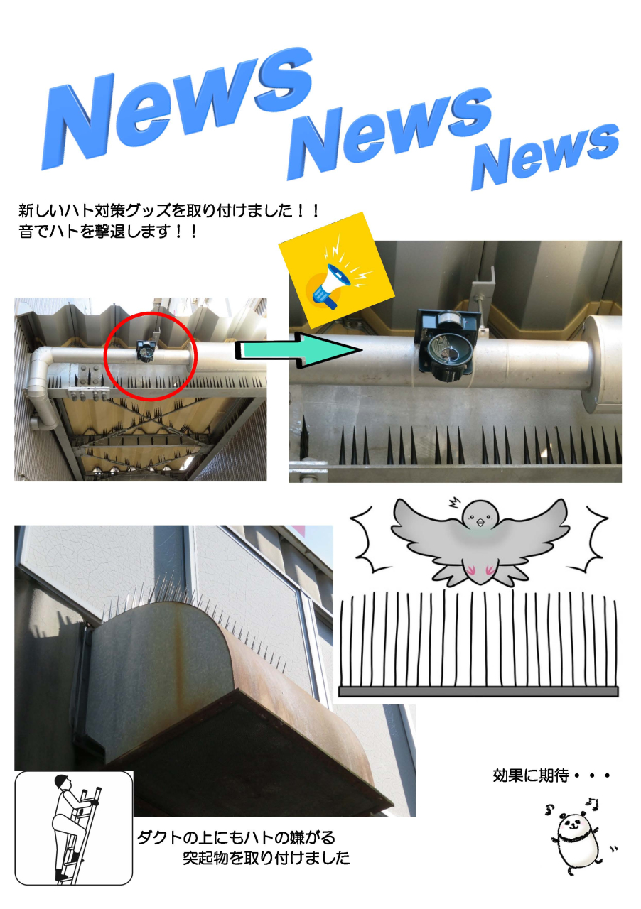 新しいハト対策グッズを取り付けました