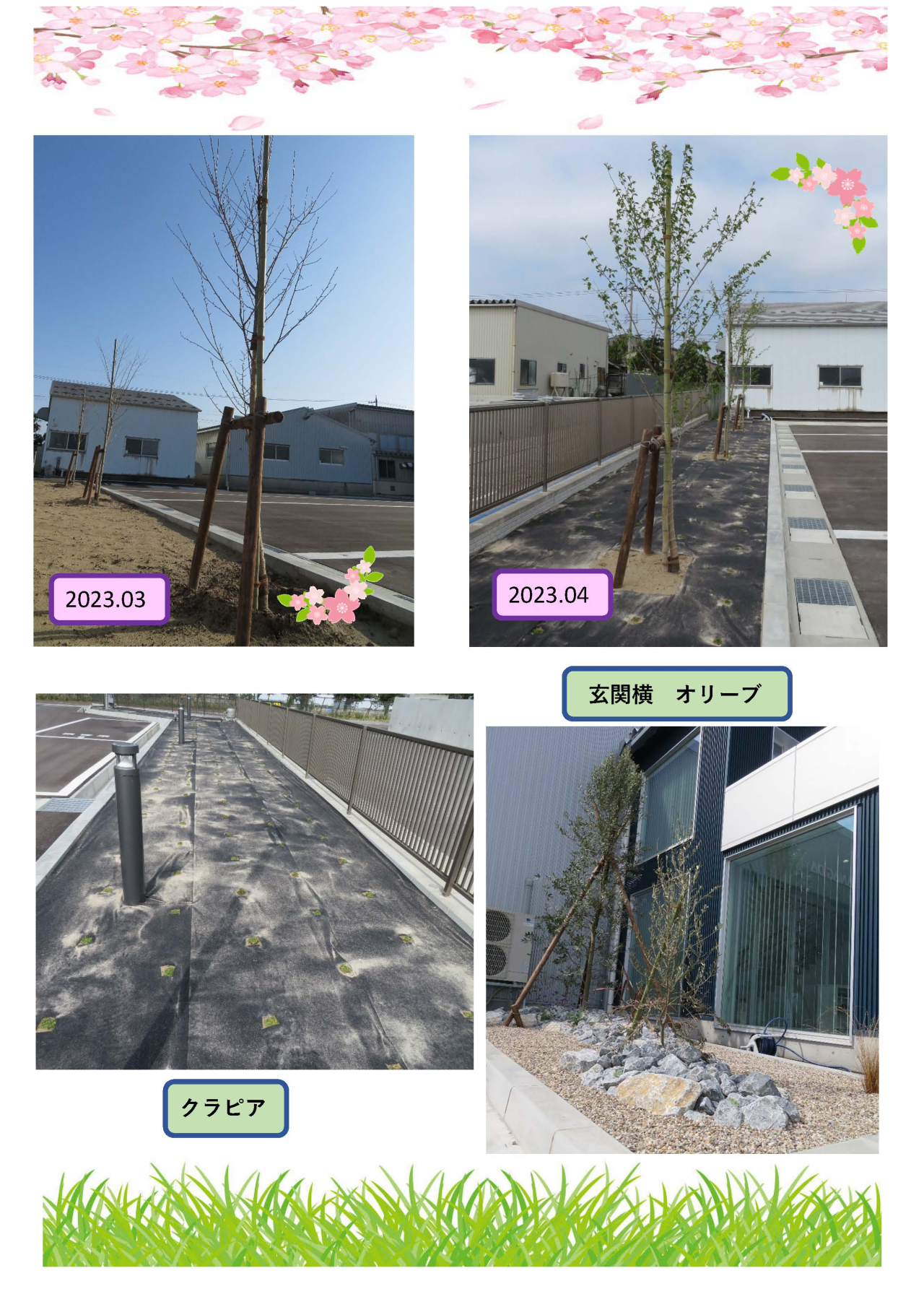 桜の満開が楽しみです。