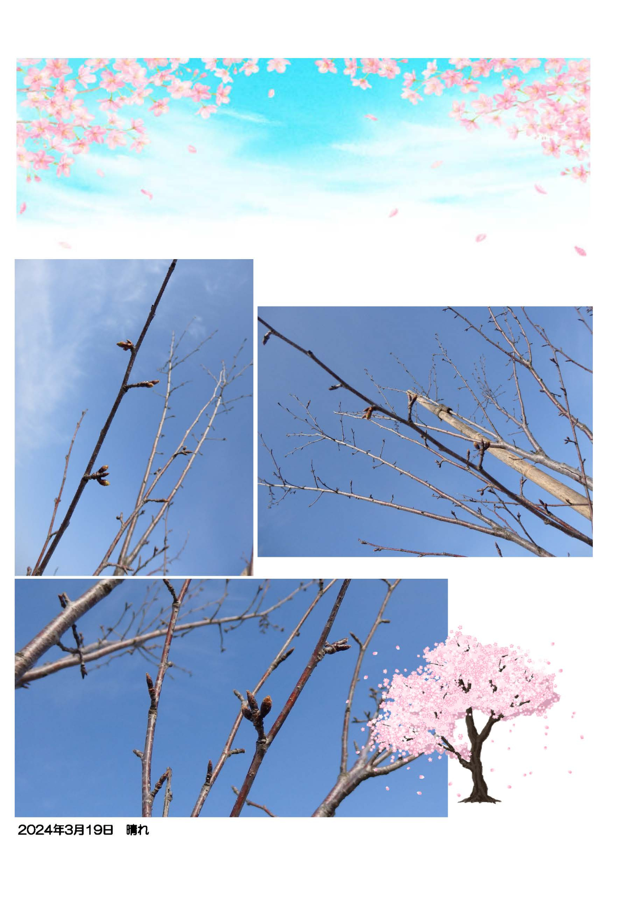 春が近づいてきています